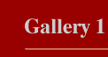 link to gallery 1